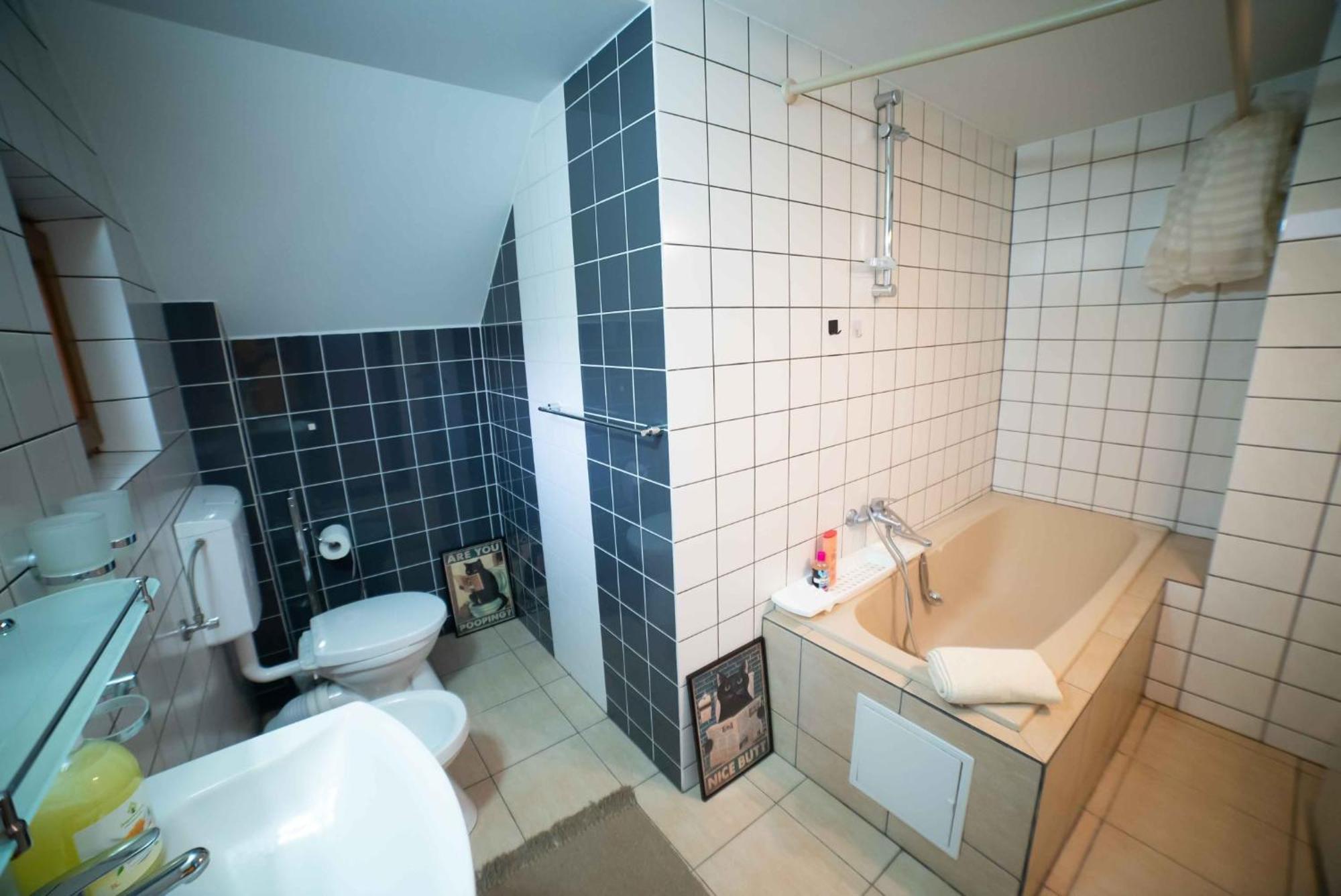 Vila Full-House Si Gradina In Bucovina, Lisaura Exteriér fotografie